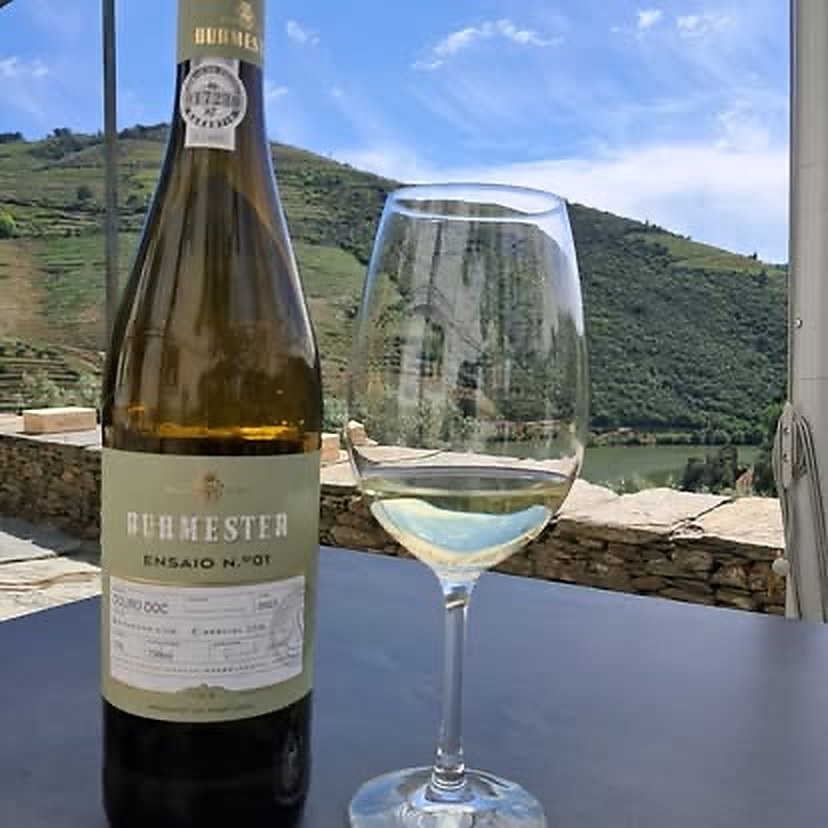 vinho burmester