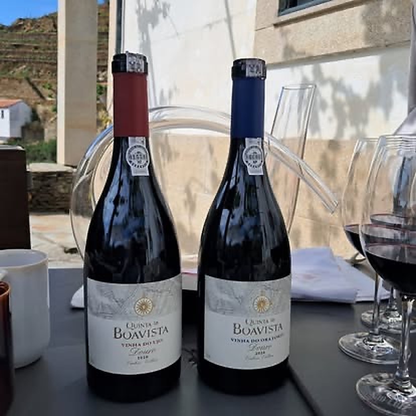 vinhos quinta boavista